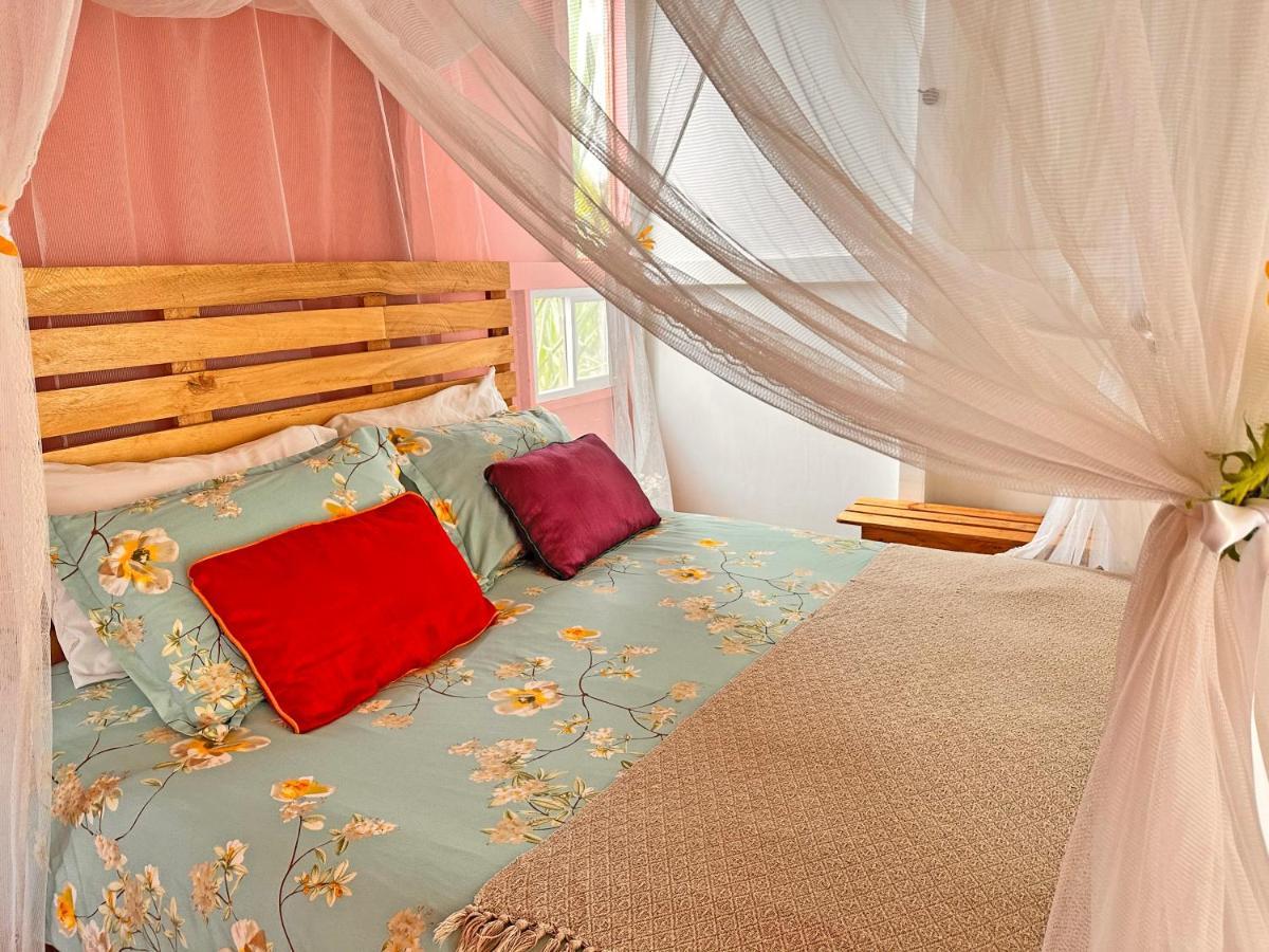 Willa Sierra Alta Finca Boutique Minca Zewnętrze zdjęcie